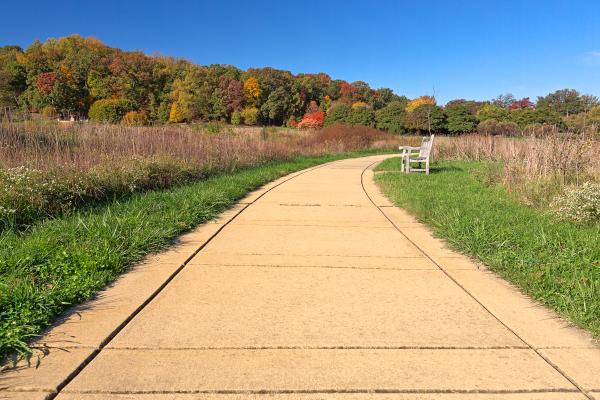Winding Autumn Arboretum Path - HDR