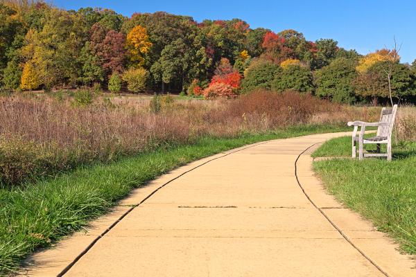 Winding Autumn Arboretum Path - HDR