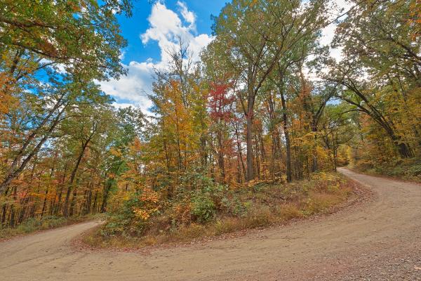 Winding Autumn Forest Road  - HDR