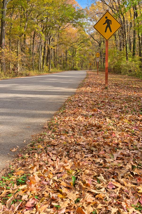 Winding Autumn Road - HDR