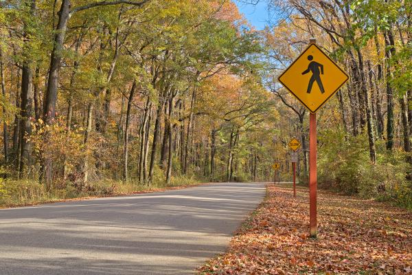 Winding Autumn Road - HDR