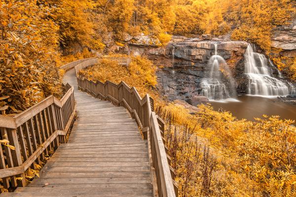 Winding Blackwater Falls - Gold Fantasy HDR
