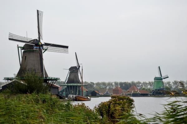 Windmills in Dutch countryside