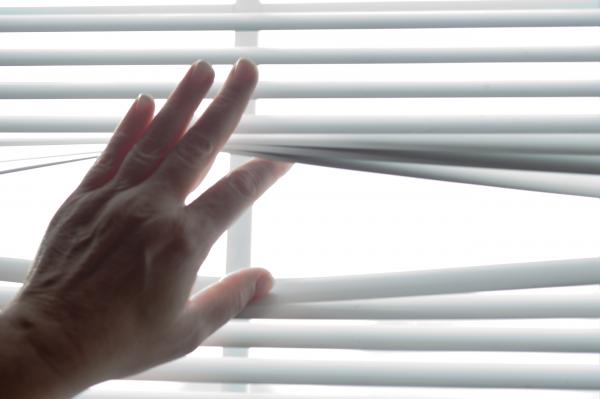 Window