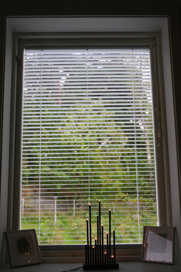 Window