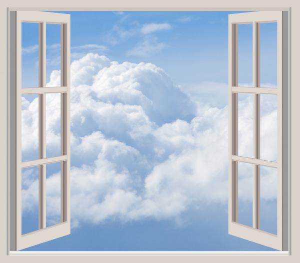 Window
