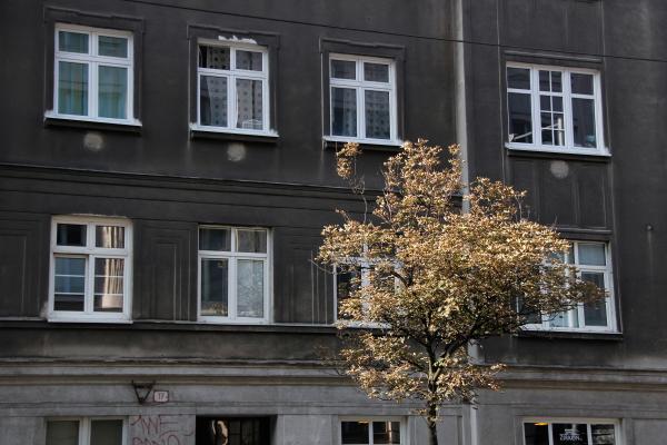 Windows