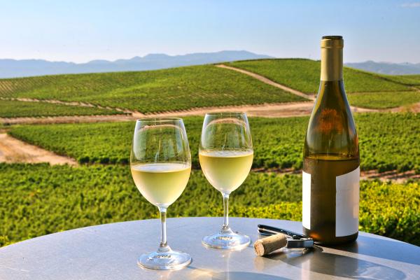 Wine in Napa