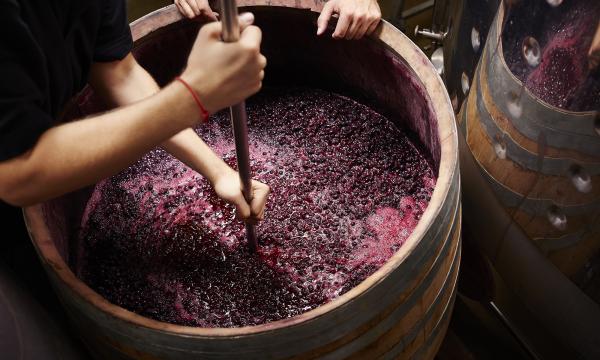 Wine Preparation