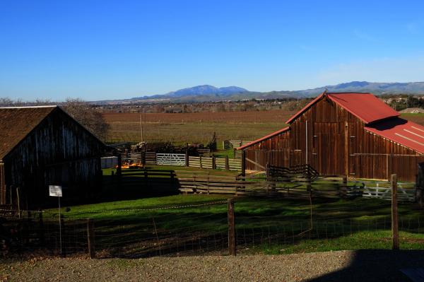 Winery