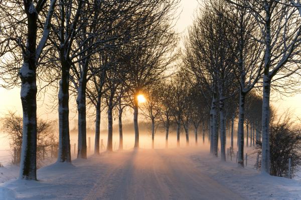 Winter
