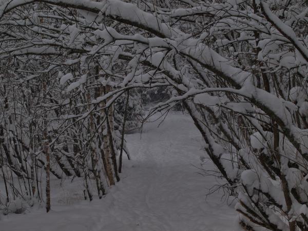Winter