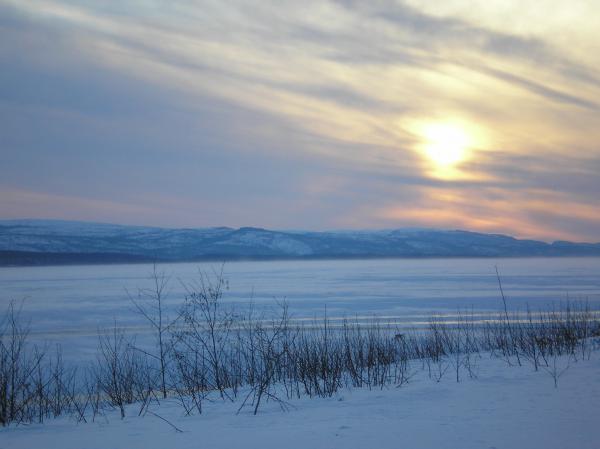 Winter