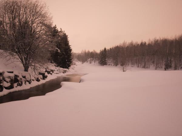 Winter