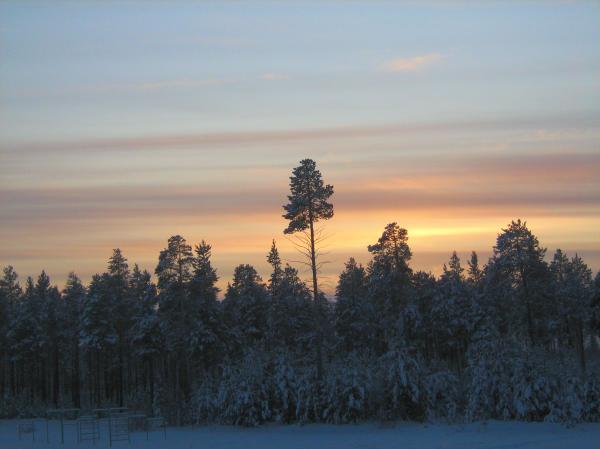 Winter