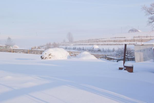 Winter