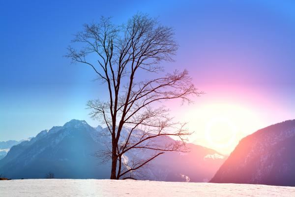 Winter