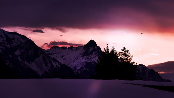 Winter