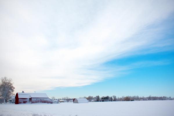 Winter Barn