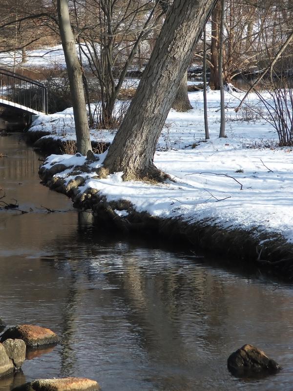 Winter Creek