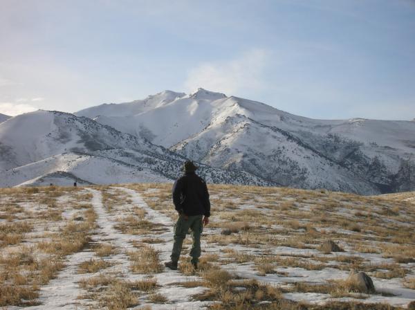 Winter Desert