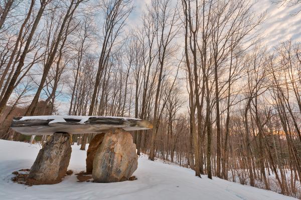 Winter Dolmen Forest - HDR