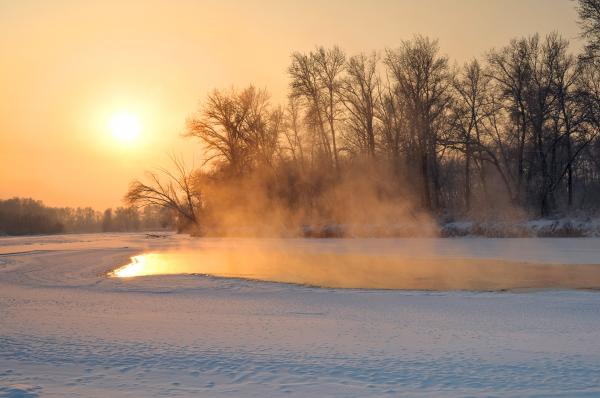 Winter Evening Sun