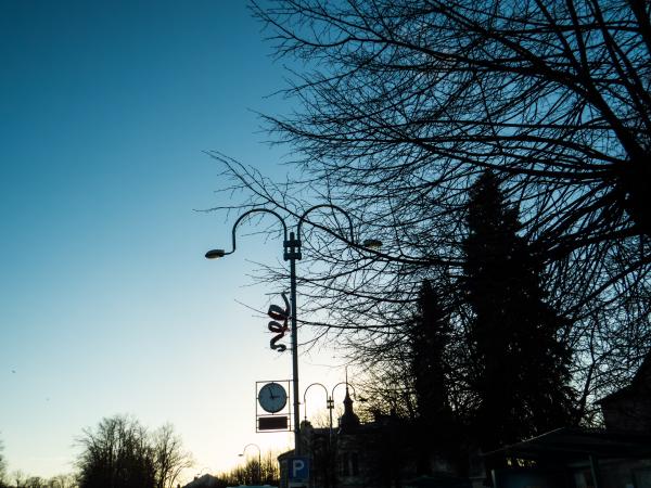 Winter evening