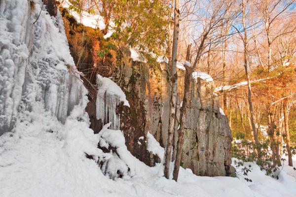 Winter Hawk Rockscape - HDR