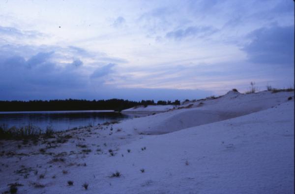 Winter Landscape