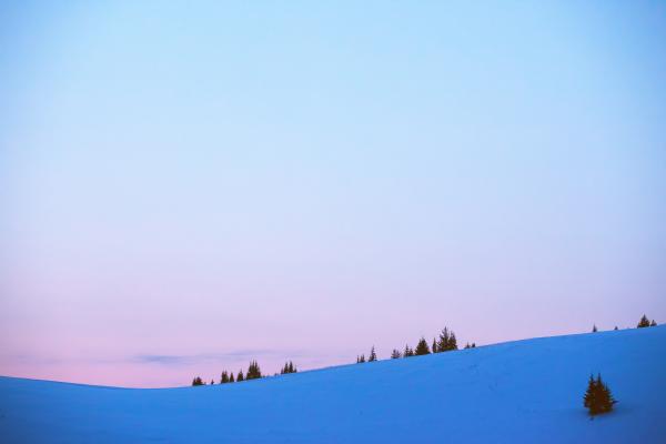 Winter Landscape
