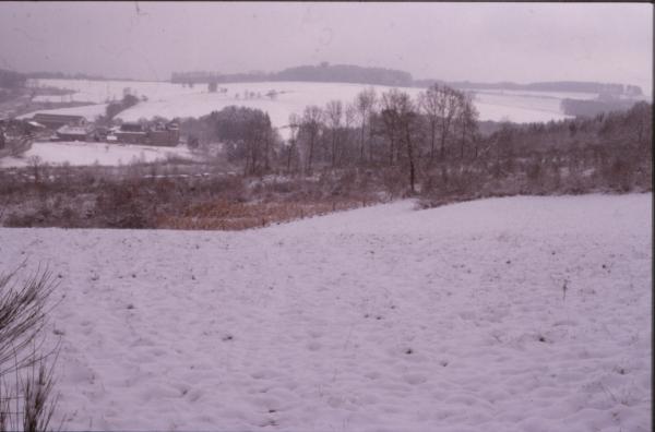 Winter Landscape