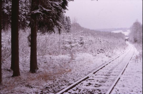 Winter Landscape