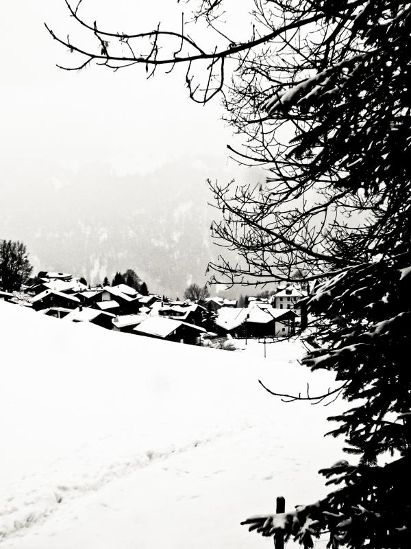 Winter landscape