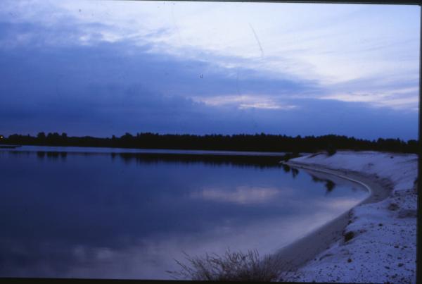 Winter Landscape
