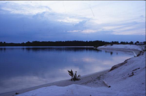 Winter Landscape
