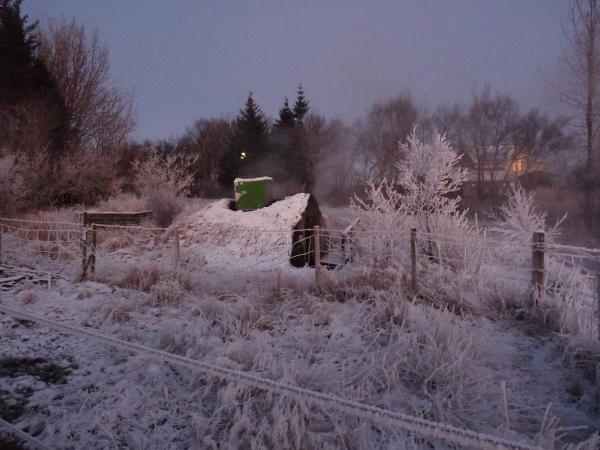 Winter landscape