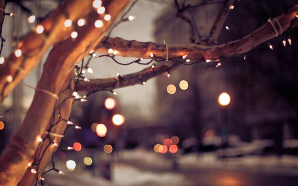 Winter lights