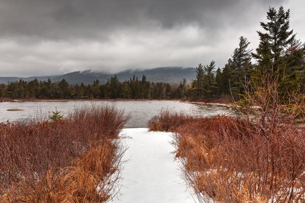 Winter Lily Pond - HDR