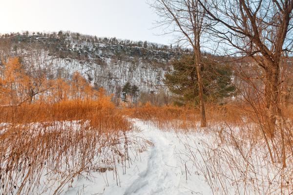 Winter McDade Trail - HDR
