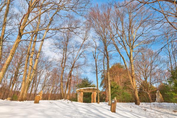 Winter Megalith Forest - HDR