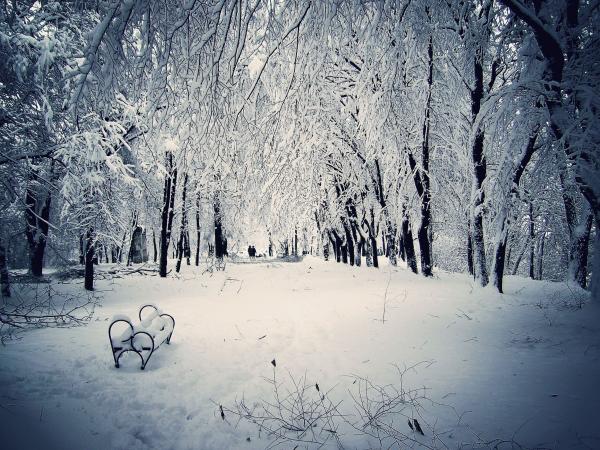 Winter Quickly Approaches