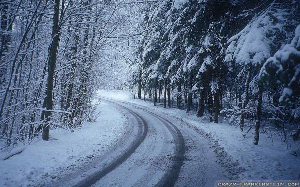 Winter Road