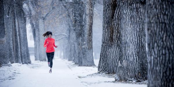 Winter run