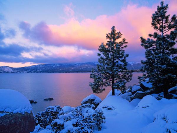 Winter scene
