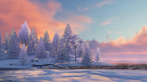 Winter scenery