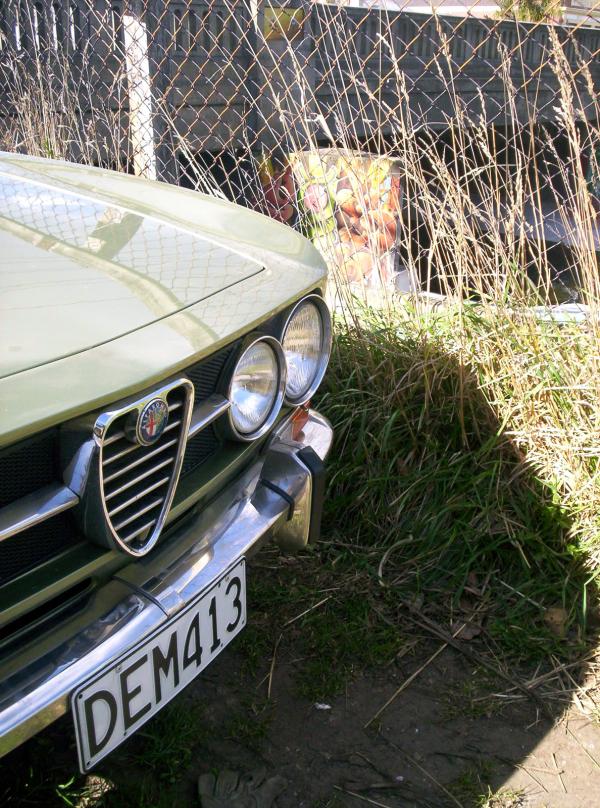 Wire Fence and Car