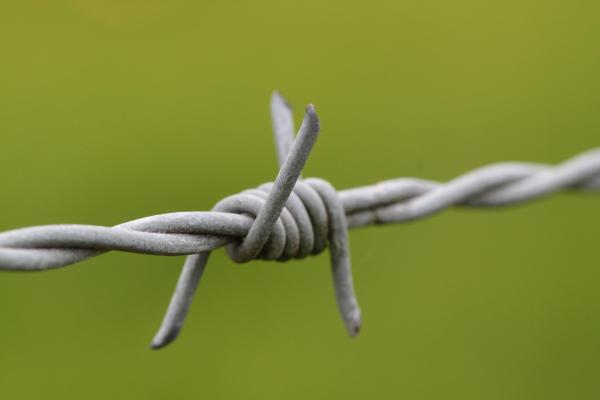 Wire