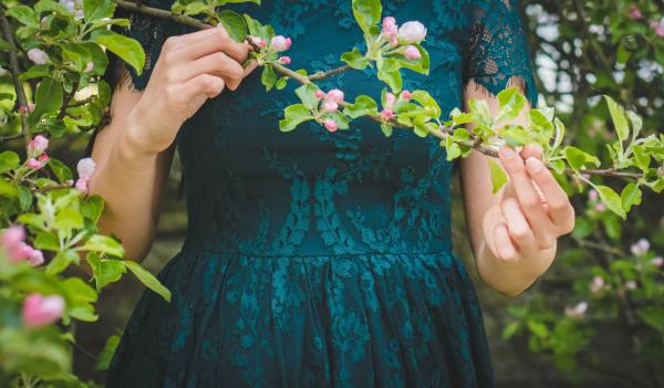 Woman Holding Green Leafed Plant