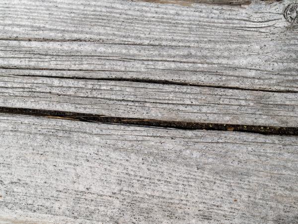 Wood